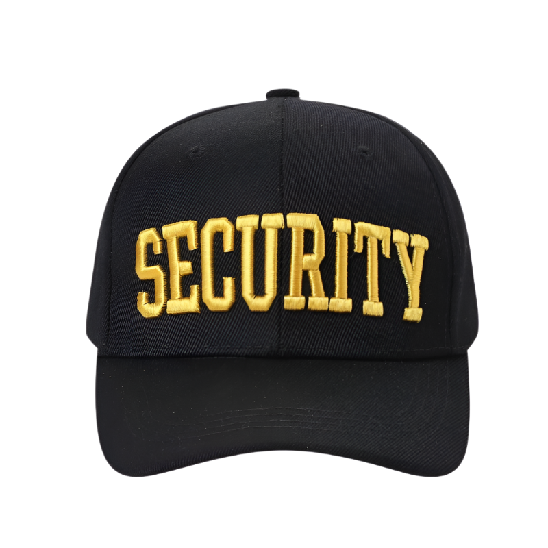 V1-SECURITY